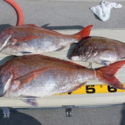 へいみつ丸 釣果