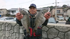 まこと渡船 釣果