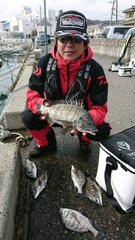 まこと渡船 釣果