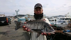 まこと渡船 釣果
