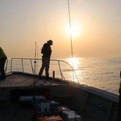 へいみつ丸 釣果