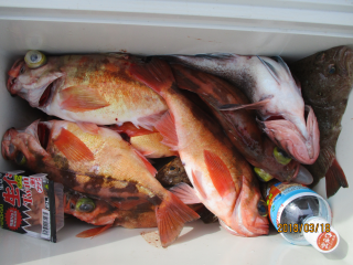 なかくに丸 釣果