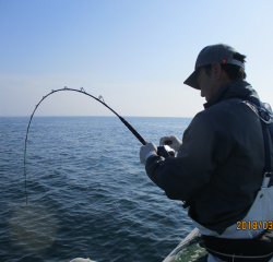 なかくに丸 釣果