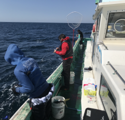 なかくに丸 釣果