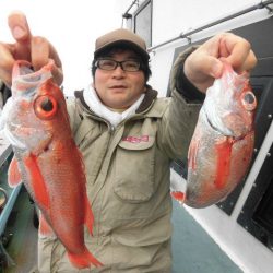 大進丸(愛知) 釣果