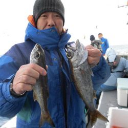 大進丸(愛知) 釣果