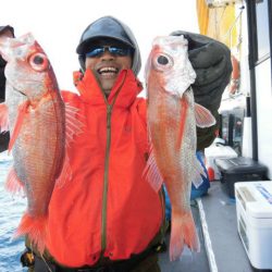 大進丸(愛知) 釣果