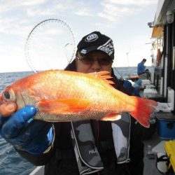 大進丸(愛知) 釣果