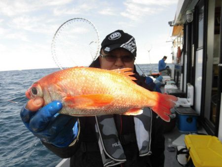 大進丸(愛知) 釣果