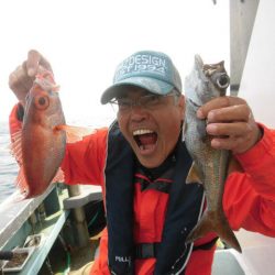 大進丸(愛知) 釣果