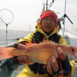 大進丸(愛知) 釣果