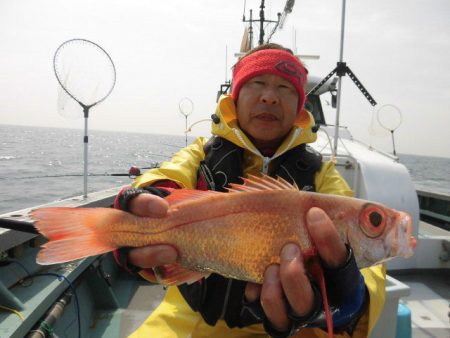 大進丸（愛知） 釣果