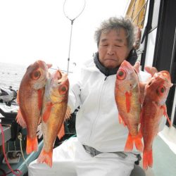大進丸(愛知) 釣果