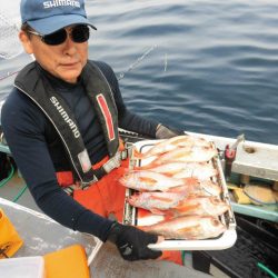 大進丸（愛知） 釣果