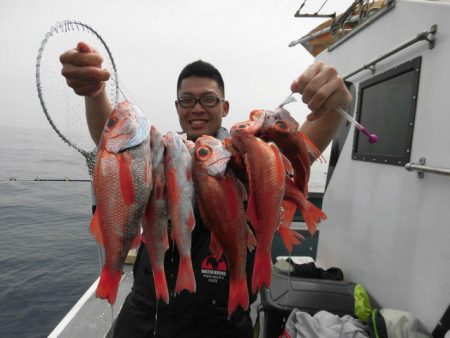 大進丸（愛知） 釣果