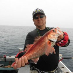 大進丸（愛知） 釣果