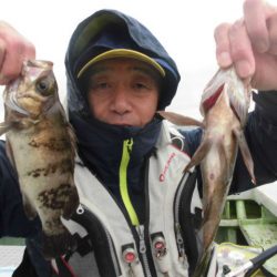 大進丸（愛知） 釣果