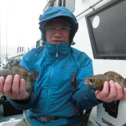 大進丸（愛知） 釣果