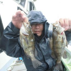 大進丸（愛知） 釣果