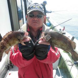 大進丸（愛知） 釣果