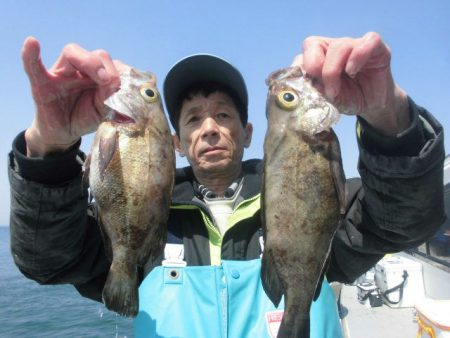 大進丸（愛知） 釣果