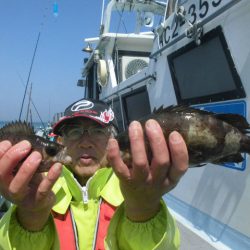 大進丸（愛知） 釣果