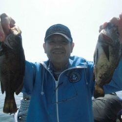 大進丸（愛知） 釣果