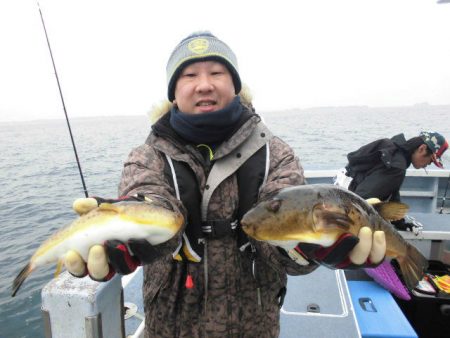 大進丸（愛知） 釣果