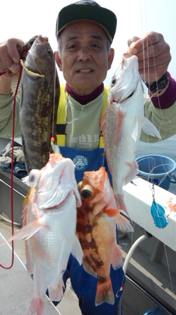 泰丸 釣果