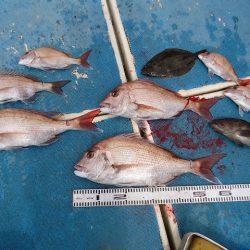 十八宝洋丸 釣果