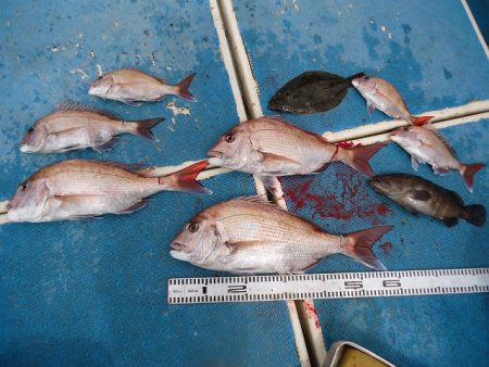 十八宝洋丸 釣果