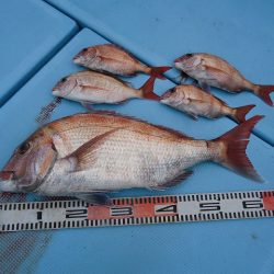 十八宝洋丸 釣果