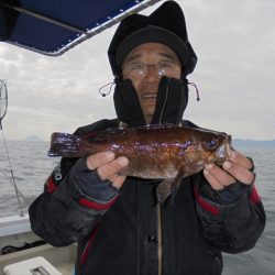 ＨＡＲＵＫＡ丸　はるかまる 釣果