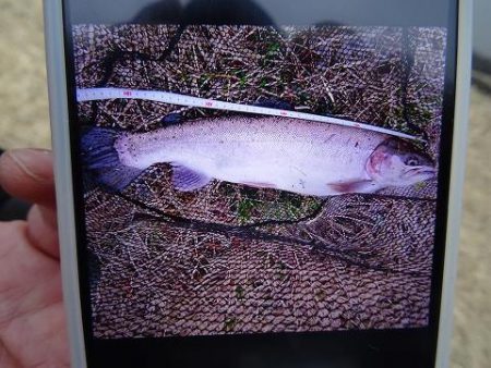 志高湖フィッシング 釣果