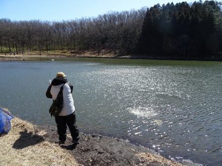 志高湖フィッシング 釣果