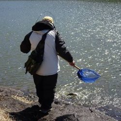 志高湖フィッシング 釣果