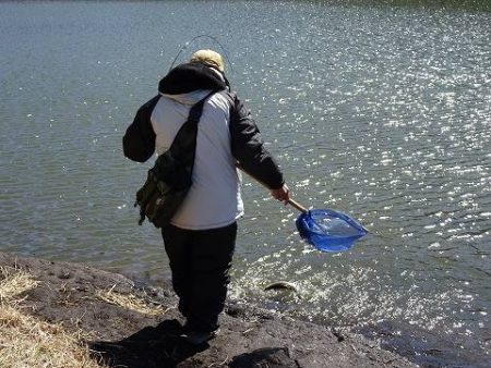 志高湖フィッシング 釣果