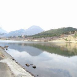 志高湖フィッシング 釣果