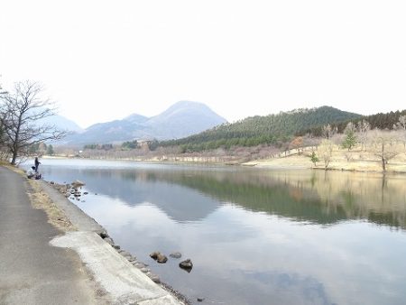 志高湖フィッシング 釣果