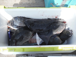 バラモン1号 釣果