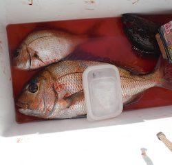 バラモン1号 釣果