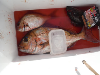 バラモン1号 釣果