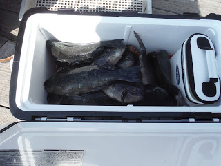 バラモン1号 釣果