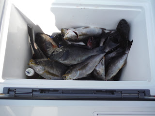 バラモン1号 釣果