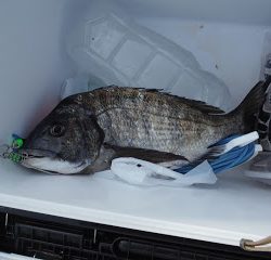 バラモン1号 釣果