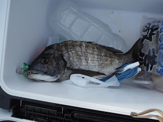 バラモン1号 釣果