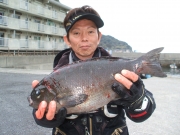 春日丸 釣果
