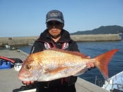 春日丸 釣果