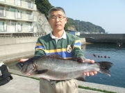 春日丸 釣果