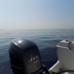 フィッシングボート空風(そらかぜ) 釣果